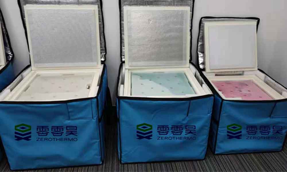 different-size-cooler-box